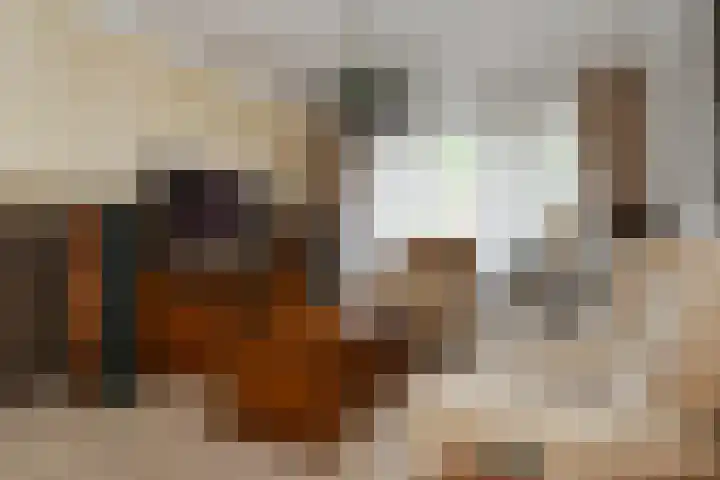 Jericholaan 3 Eindhoven thumbnail 6