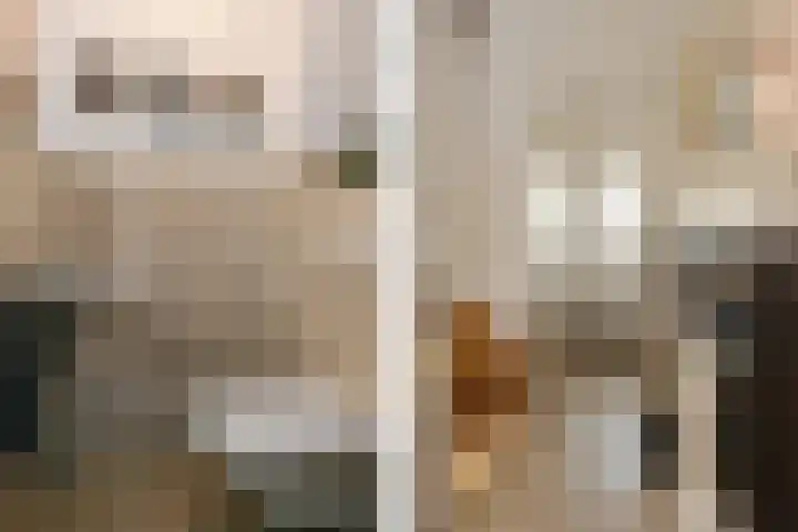 Jericholaan 3 Eindhoven thumbnail 8