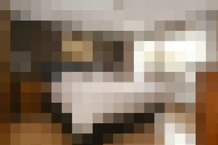 Jericholaan 3 Eindhoven thumbnail 9
