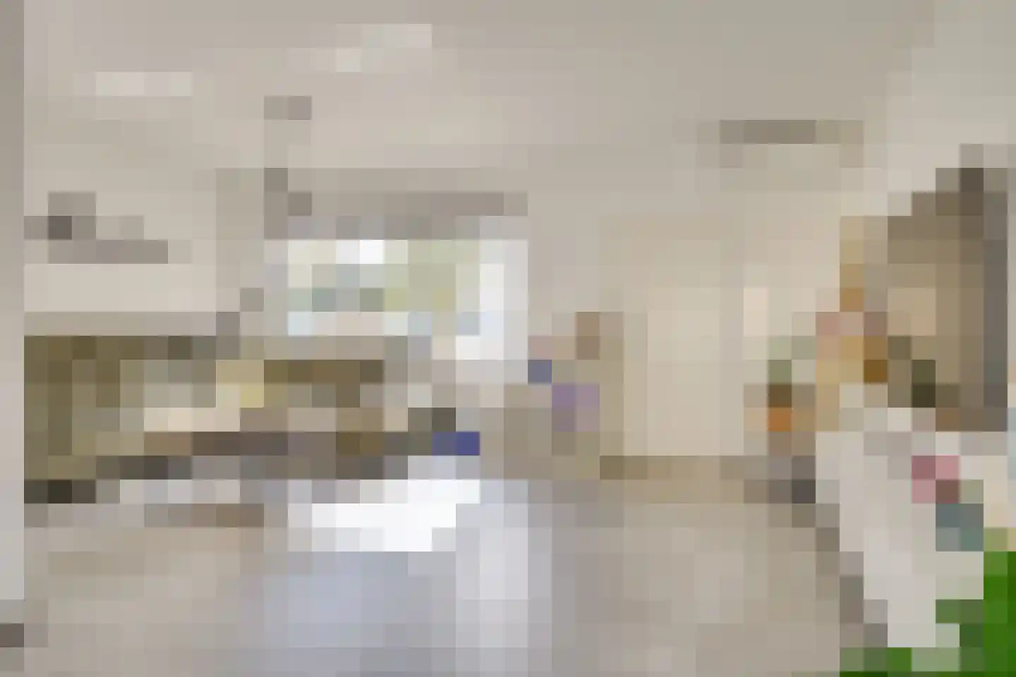Jericholaan 31 Eindhoven thumbnail 13