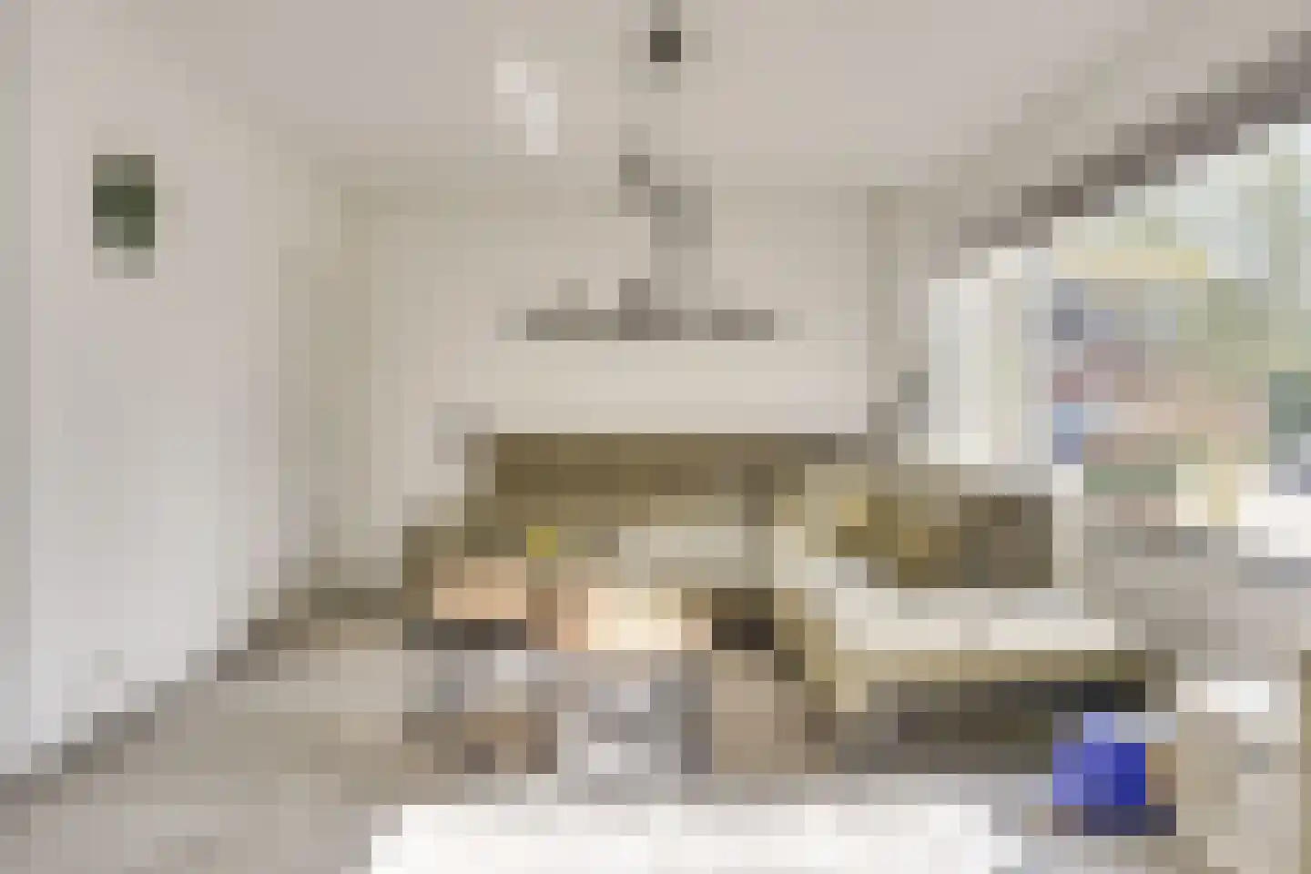 Jericholaan 31 Eindhoven thumbnail 14