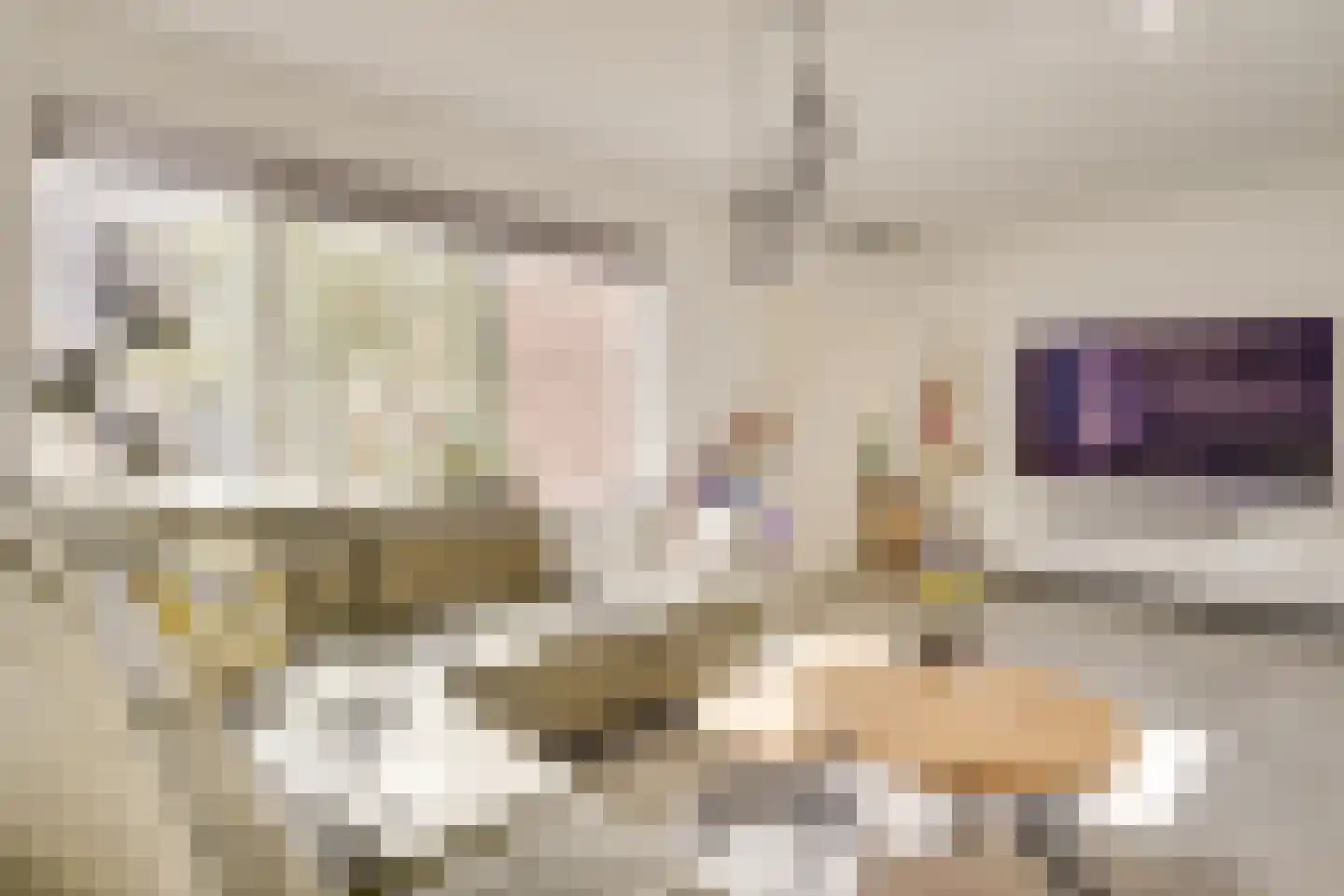 Jericholaan 31 Eindhoven thumbnail 15