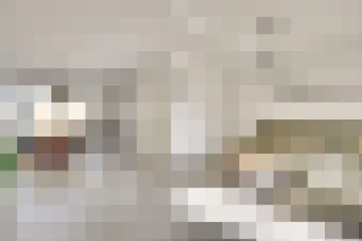 Jericholaan 31 Eindhoven thumbnail 16
