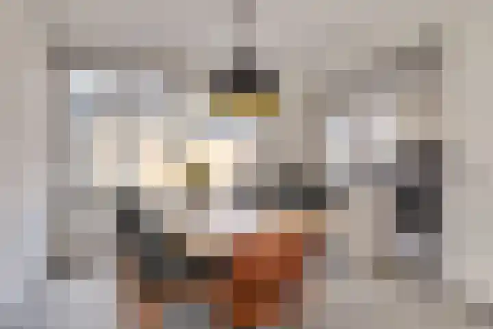 Jericholaan 31 Eindhoven thumbnail 17