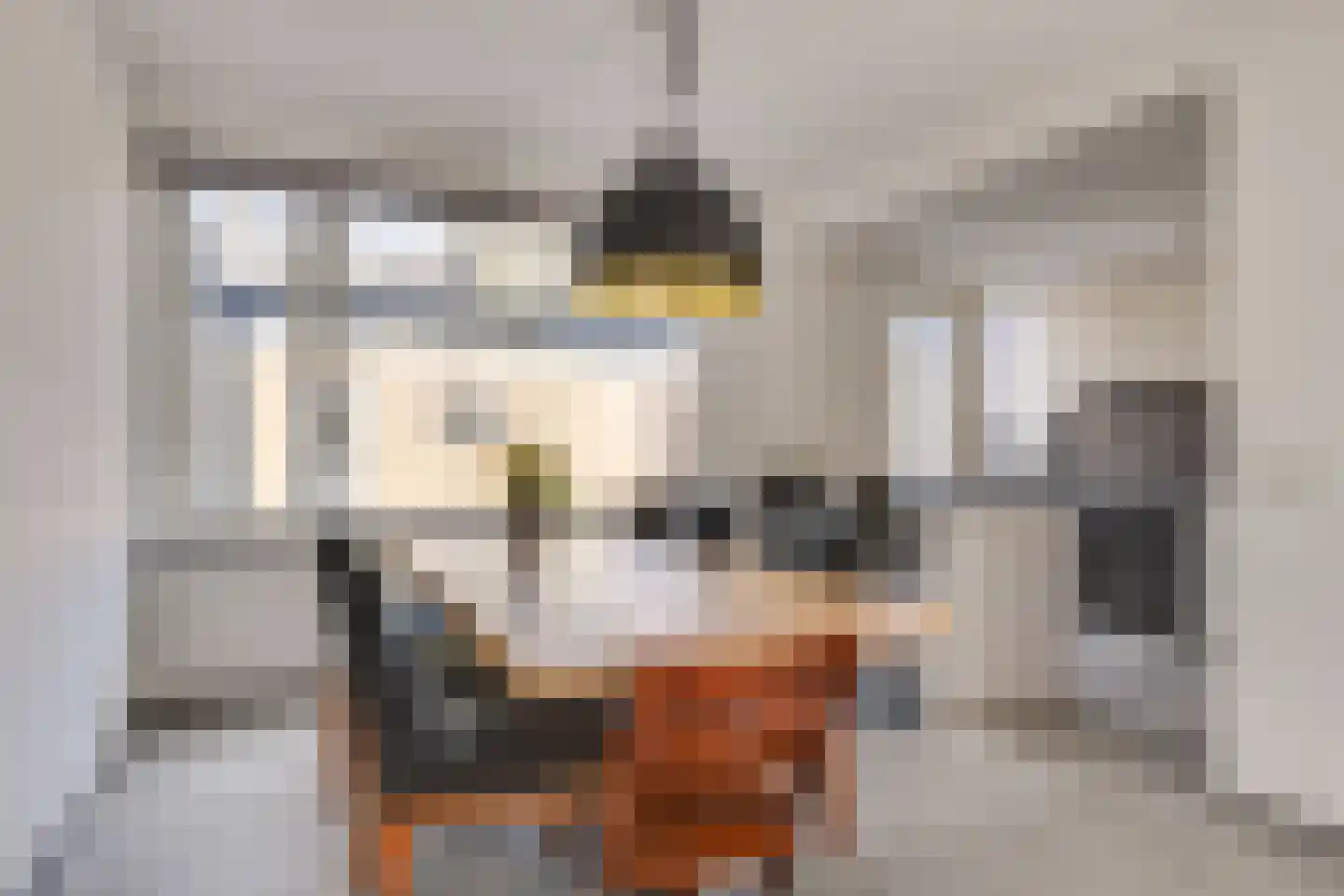 Jericholaan 31 Eindhoven thumbnail 17