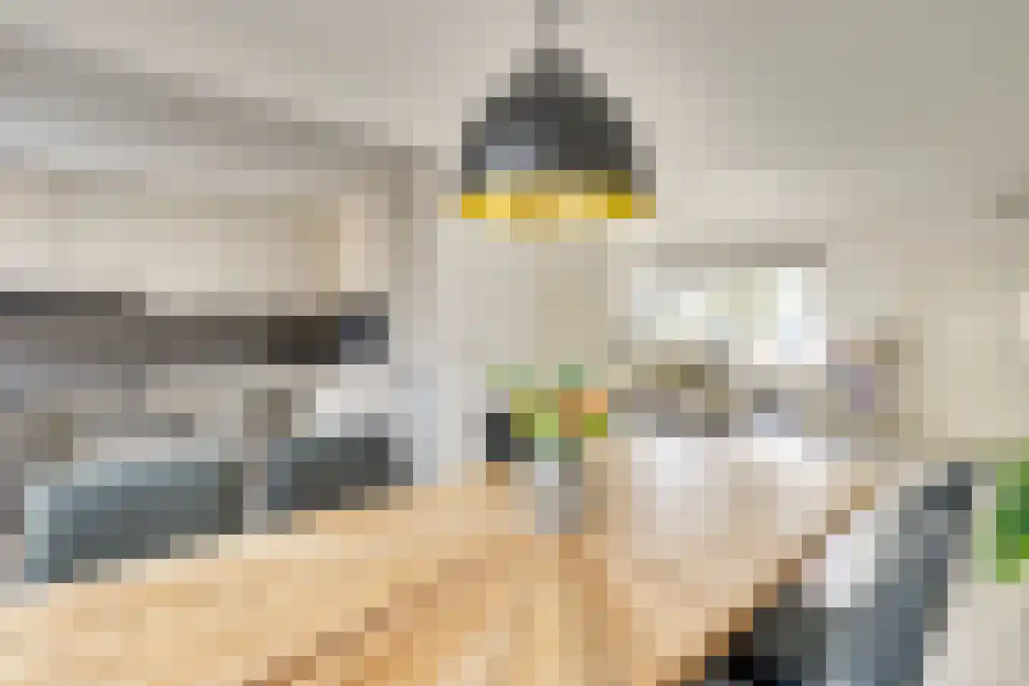 Jericholaan 31 Eindhoven thumbnail 18