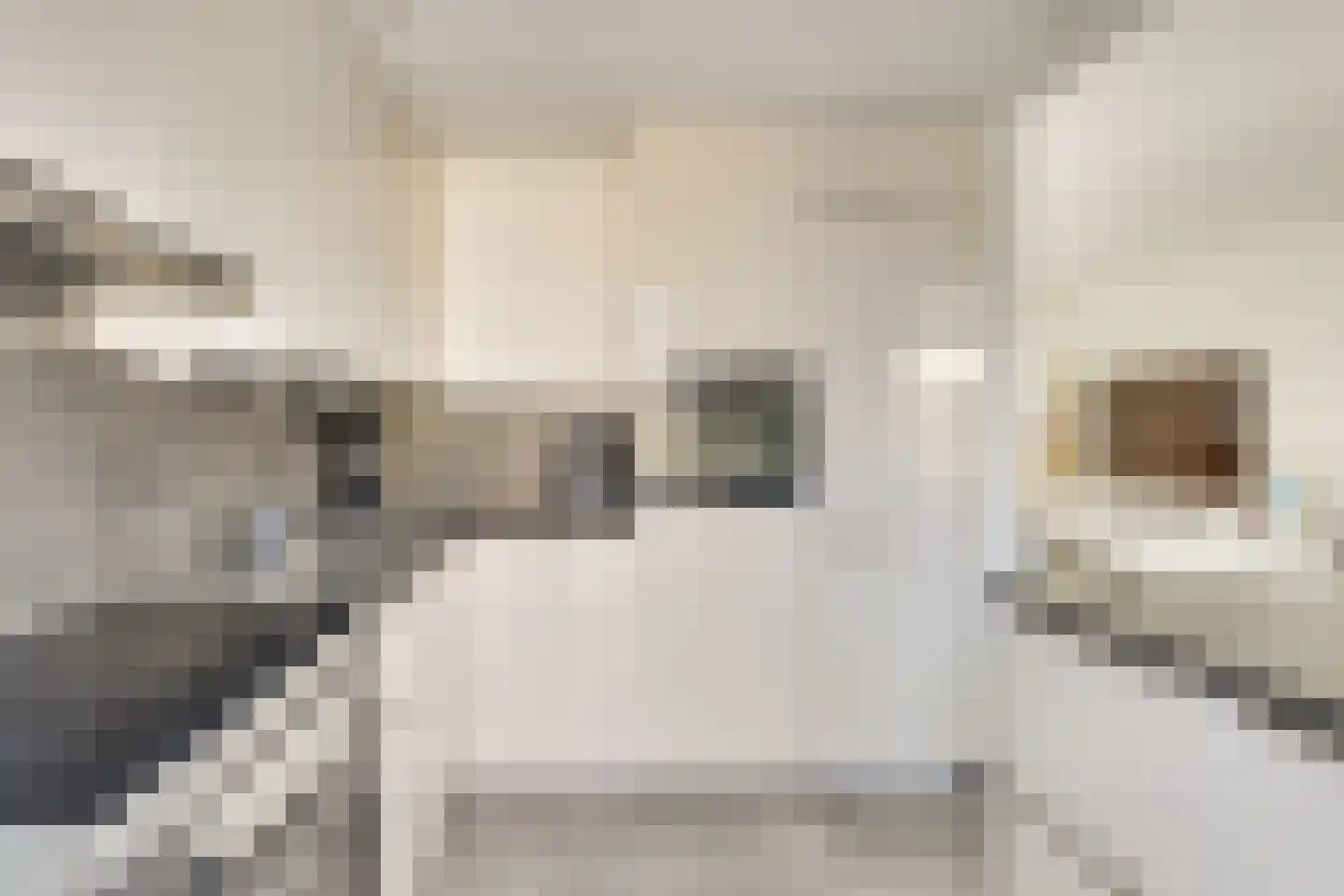 Jericholaan 31 Eindhoven thumbnail 20