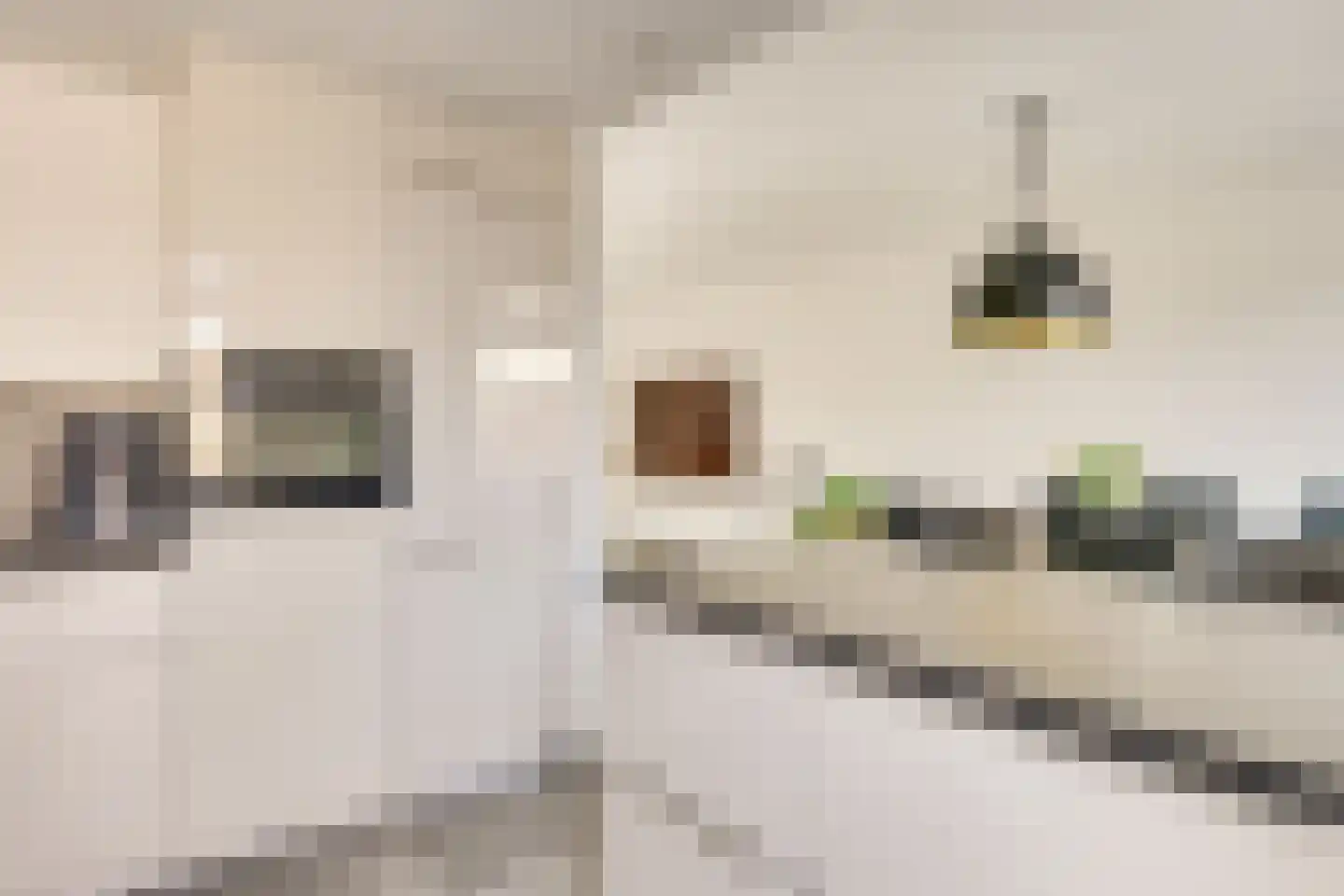 Jericholaan 31 Eindhoven thumbnail 21