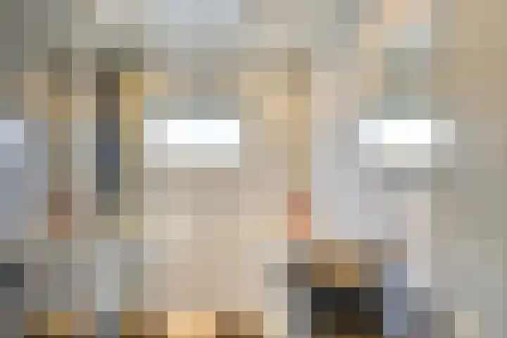 Jericholaan 31 Eindhoven thumbnail 29