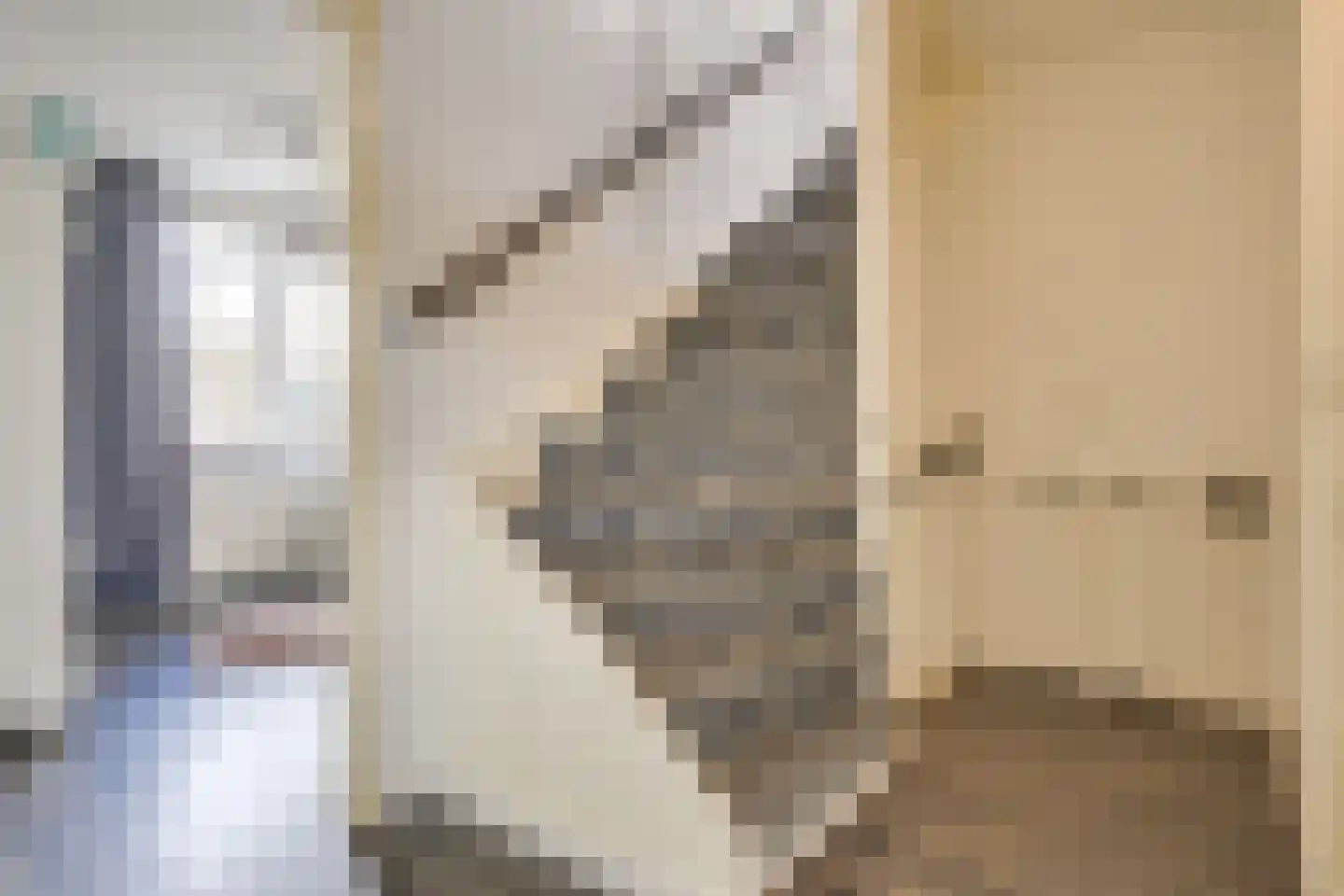 Jericholaan 31 Eindhoven thumbnail 37