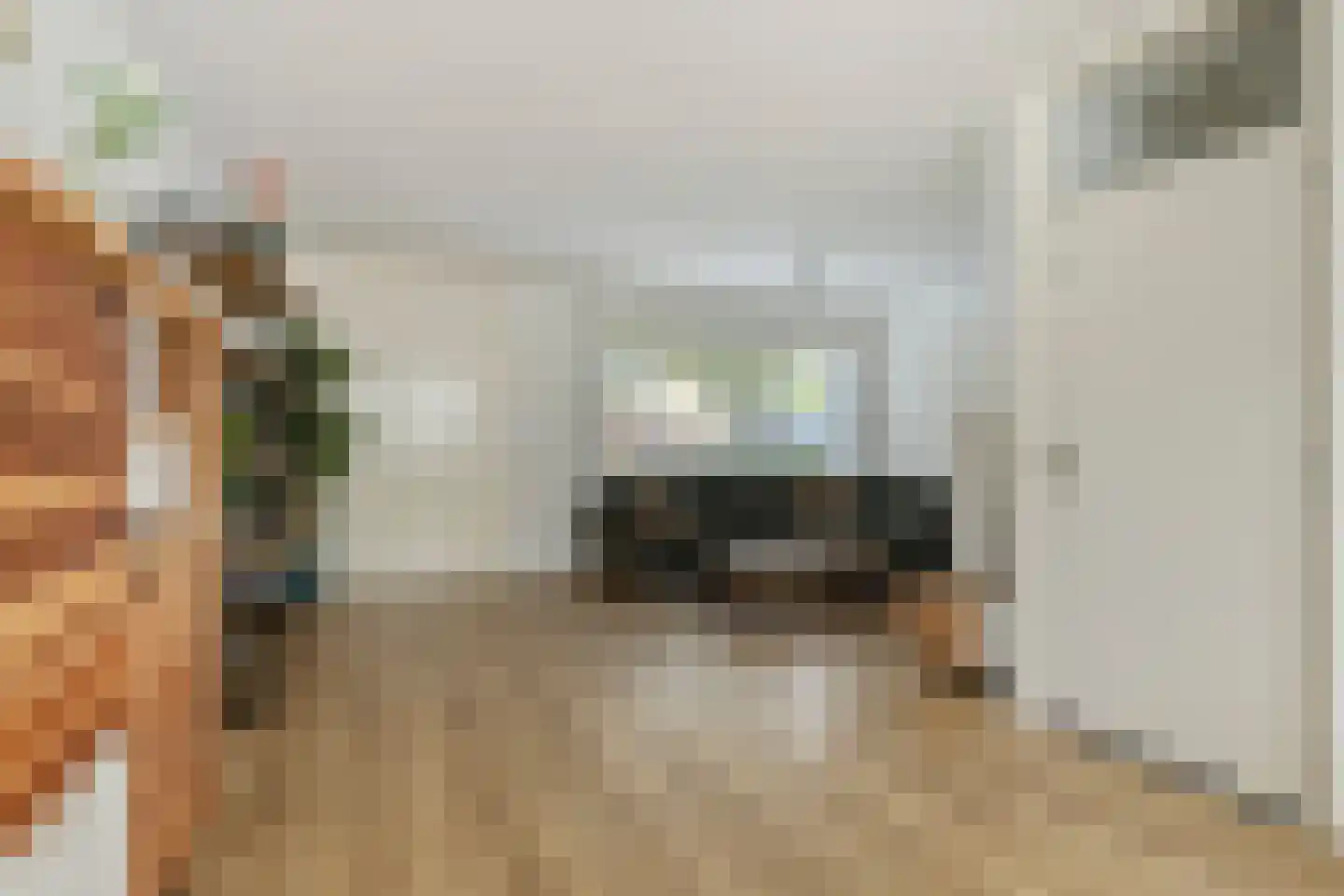 Jericholaan 37 Eindhoven thumbnail 10