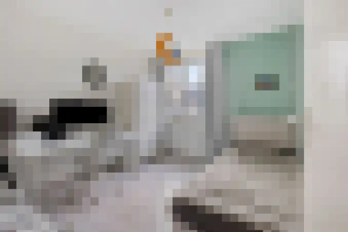 Jericholaan 37 Eindhoven thumbnail 28