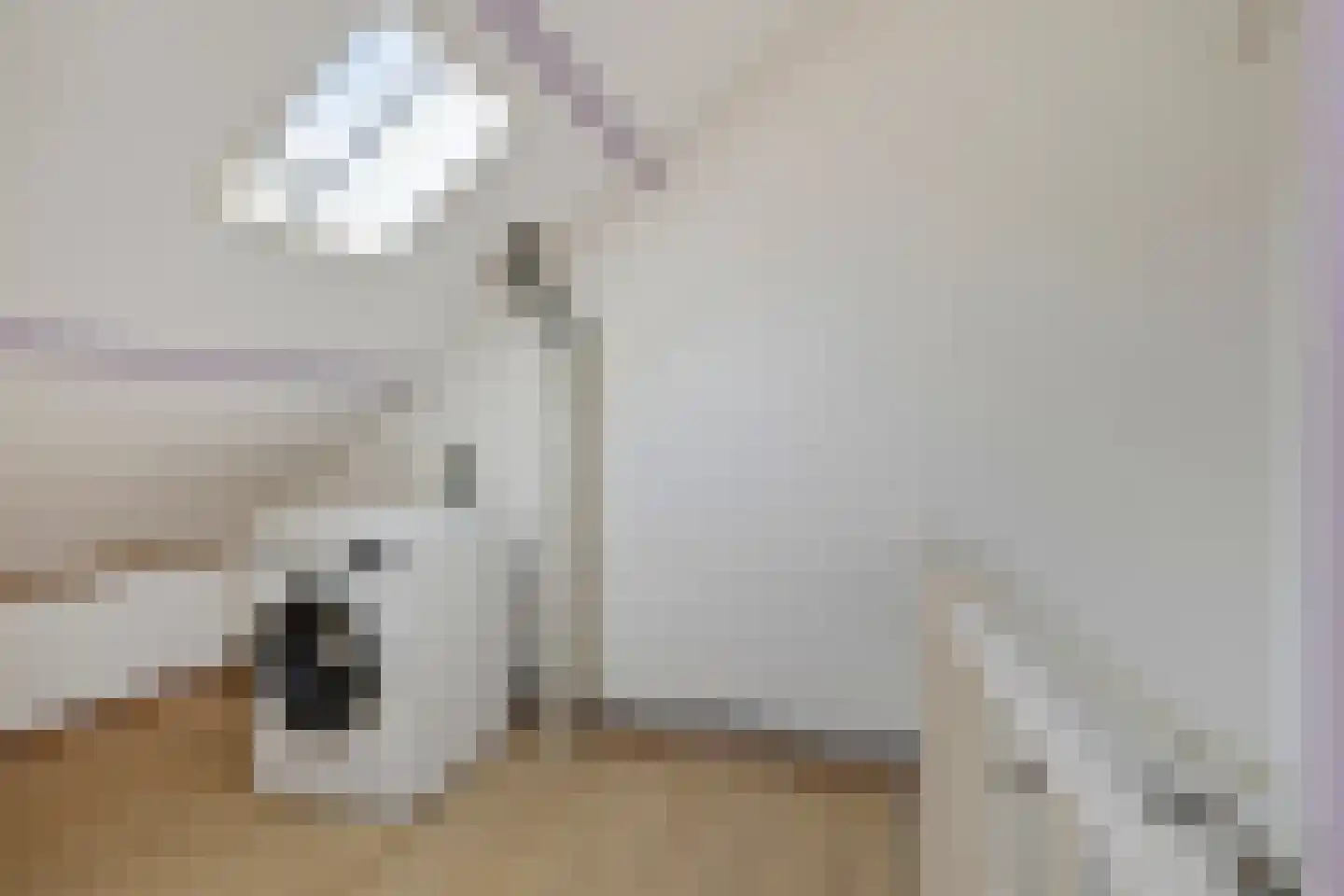Jericholaan 37 Eindhoven thumbnail 29