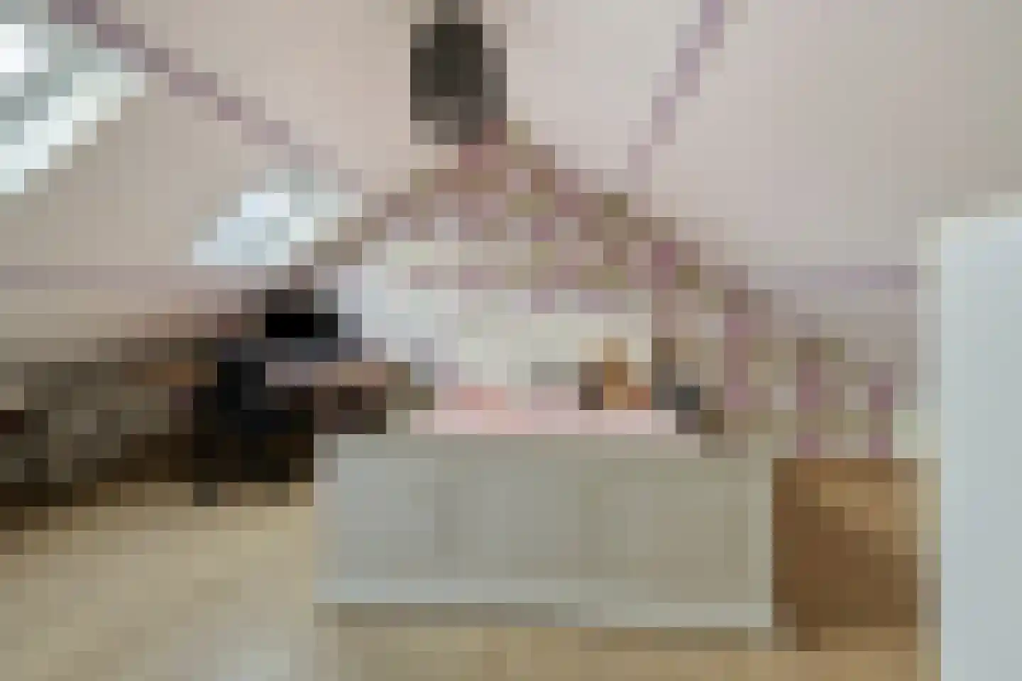 Jericholaan 37 Eindhoven thumbnail 30