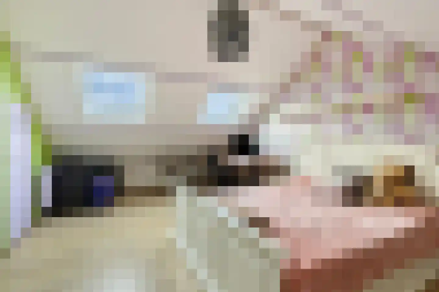 Jericholaan 37 Eindhoven thumbnail 31