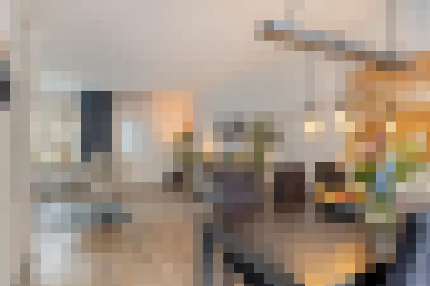 Jericholaan 43 Eindhoven thumbnail 14