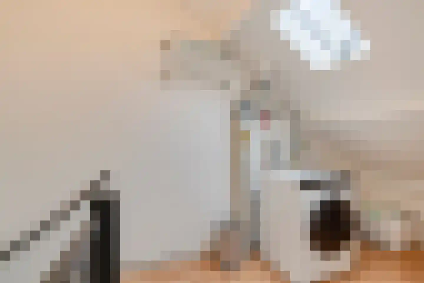 Jericholaan 43 Eindhoven thumbnail 31