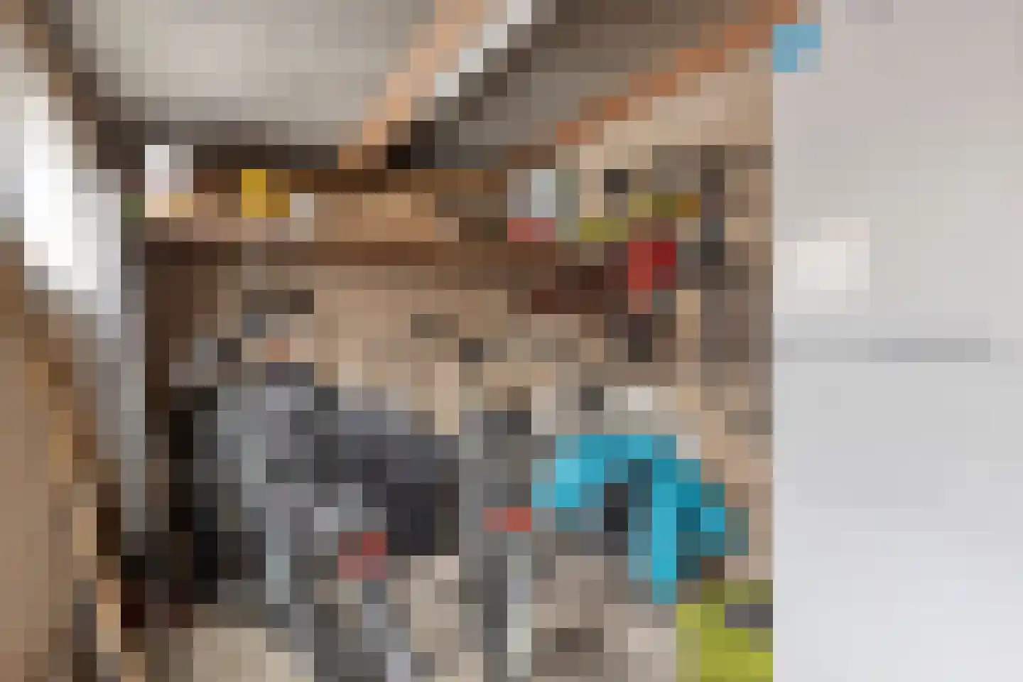 Jericholaan 43 Eindhoven thumbnail 37