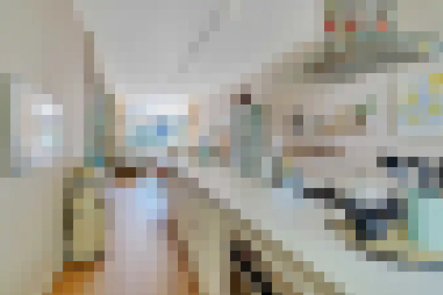Jericholaan 50 B Rotterdam thumbnail 12