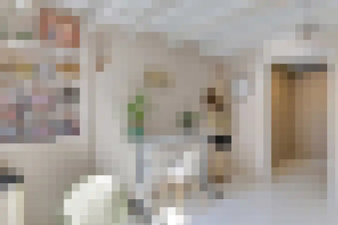 Jericholaan 50 B Rotterdam thumbnail 30