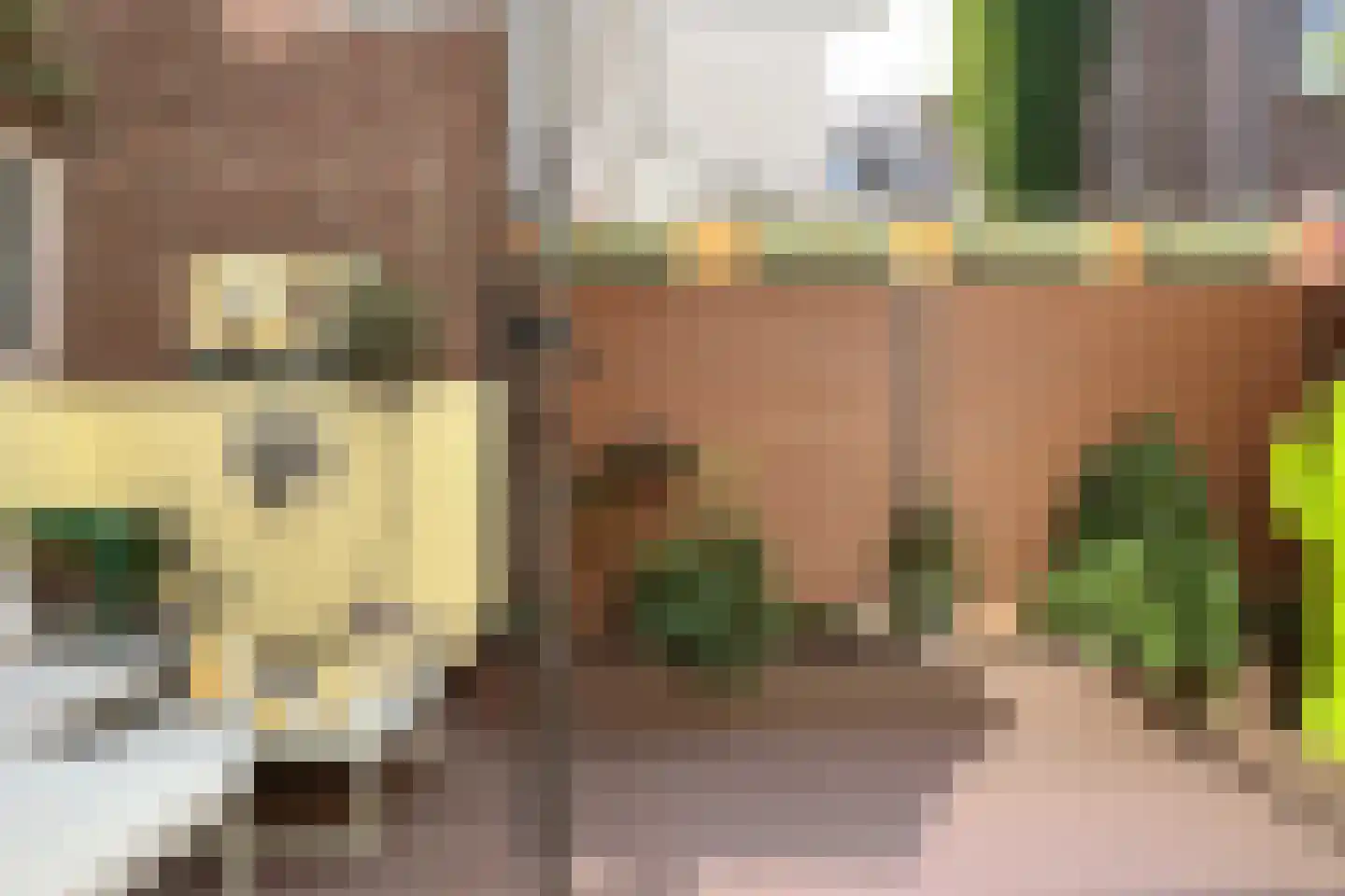 Jericholaan 50 B Rotterdam thumbnail 32