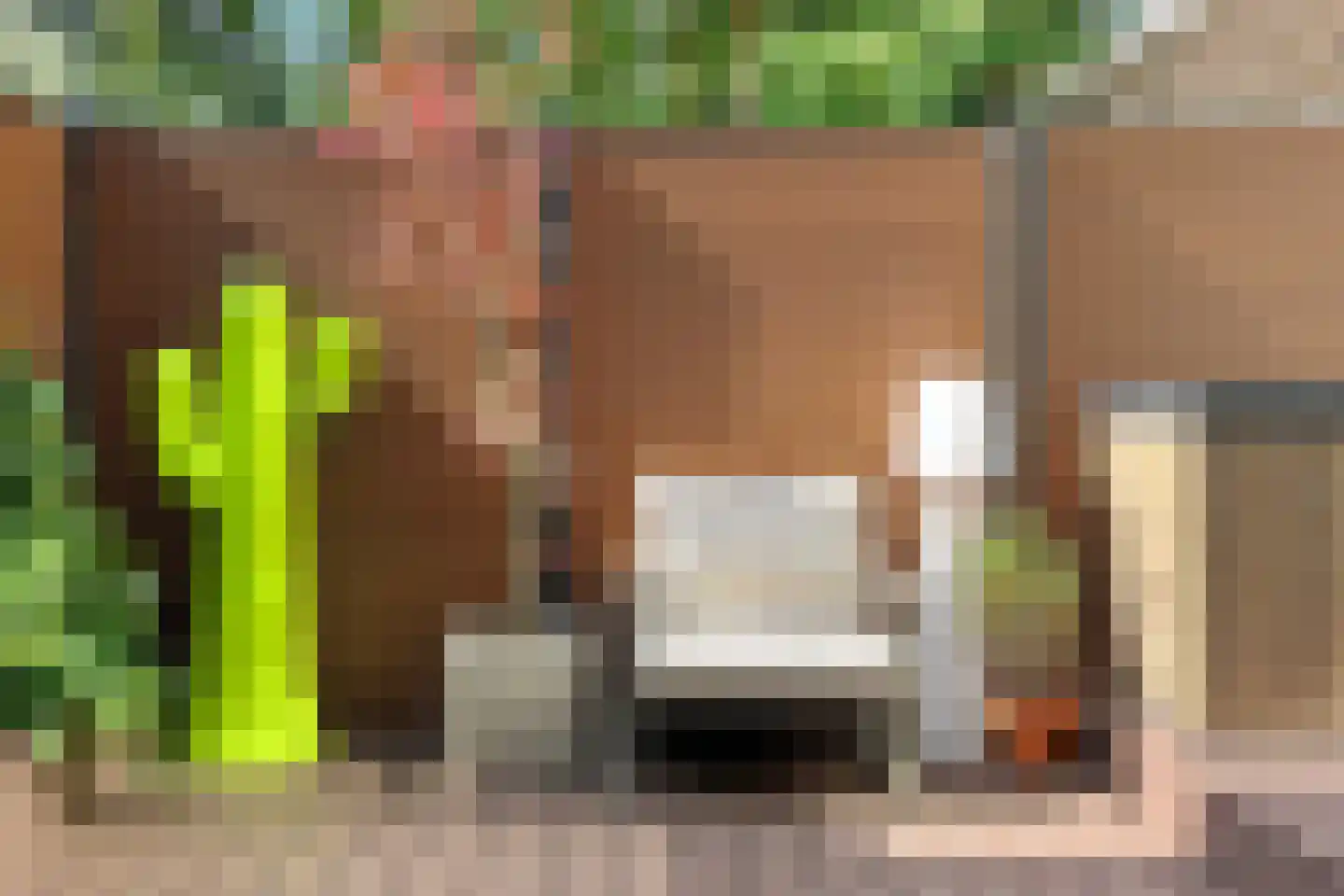 Jericholaan 50 B Rotterdam thumbnail 34