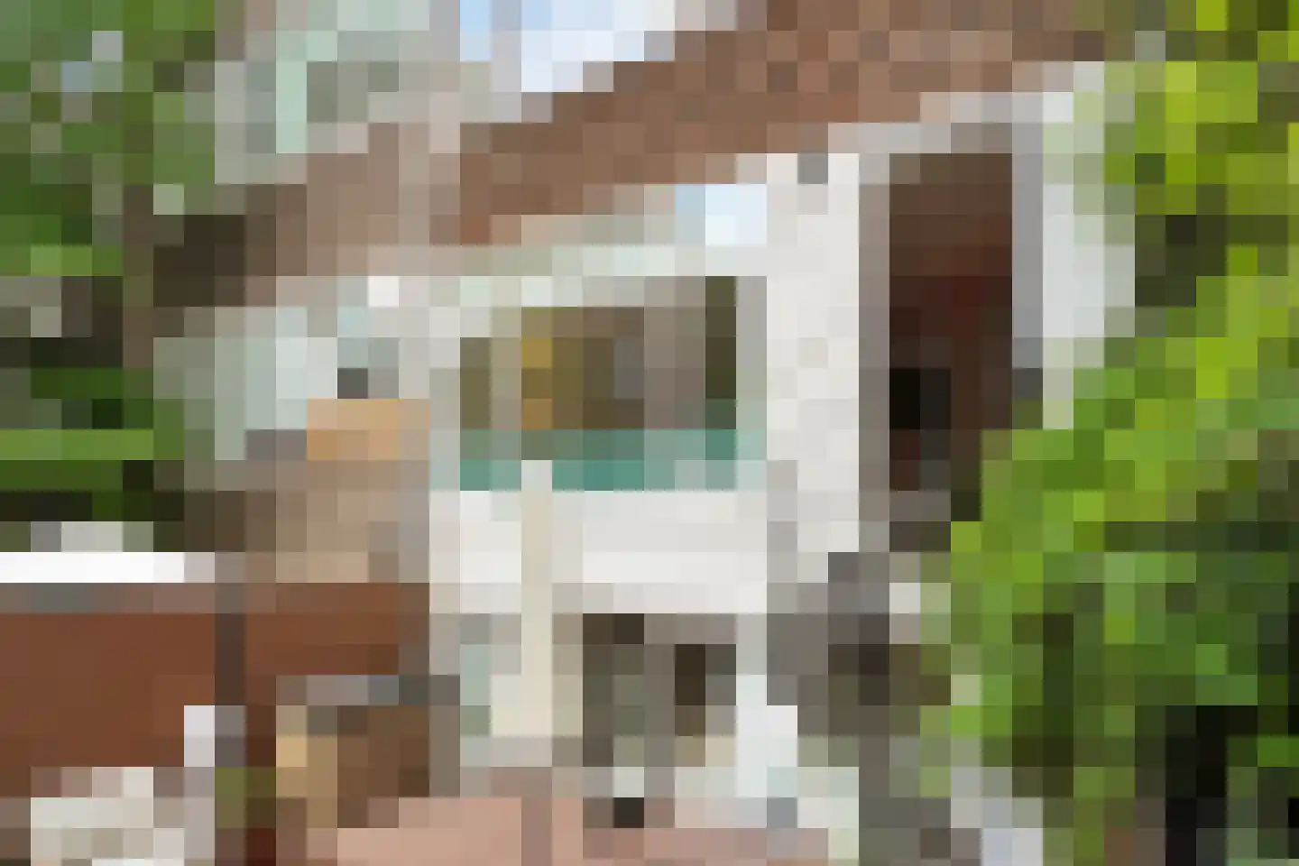 Jericholaan 50 B Rotterdam thumbnail 35