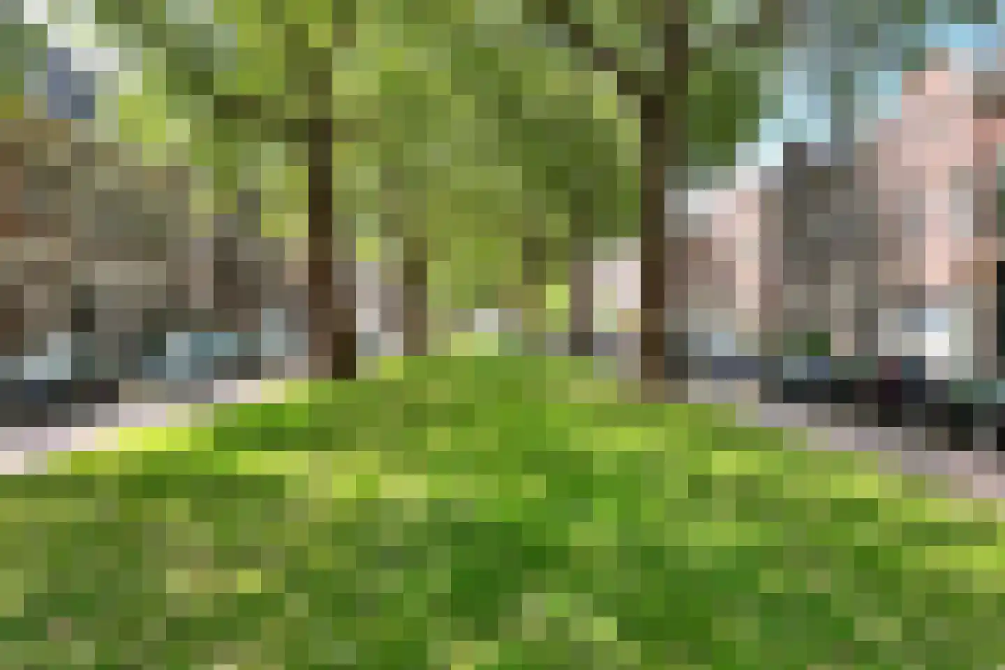Jericholaan 50 B Rotterdam thumbnail 40