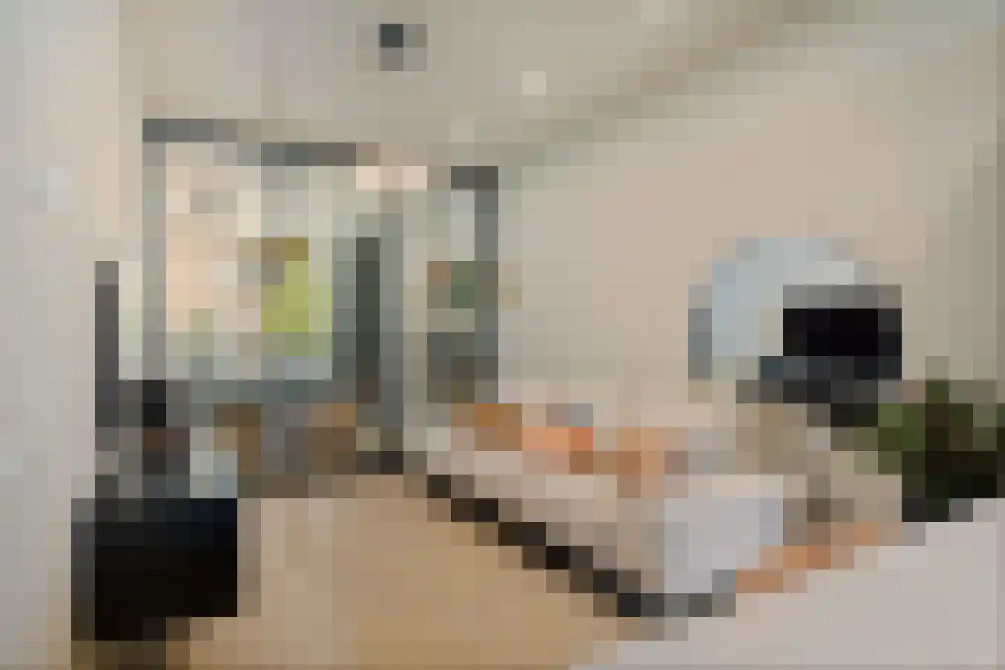 Jericholaan 51 A 01 Rotterdam thumbnail 19