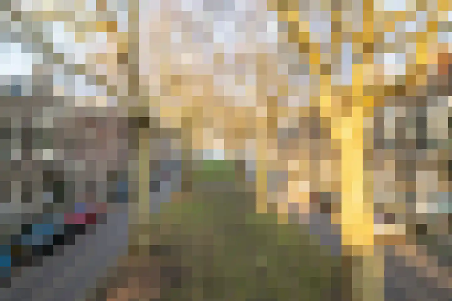 Jericholaan 51 A 01 Rotterdam thumbnail 51