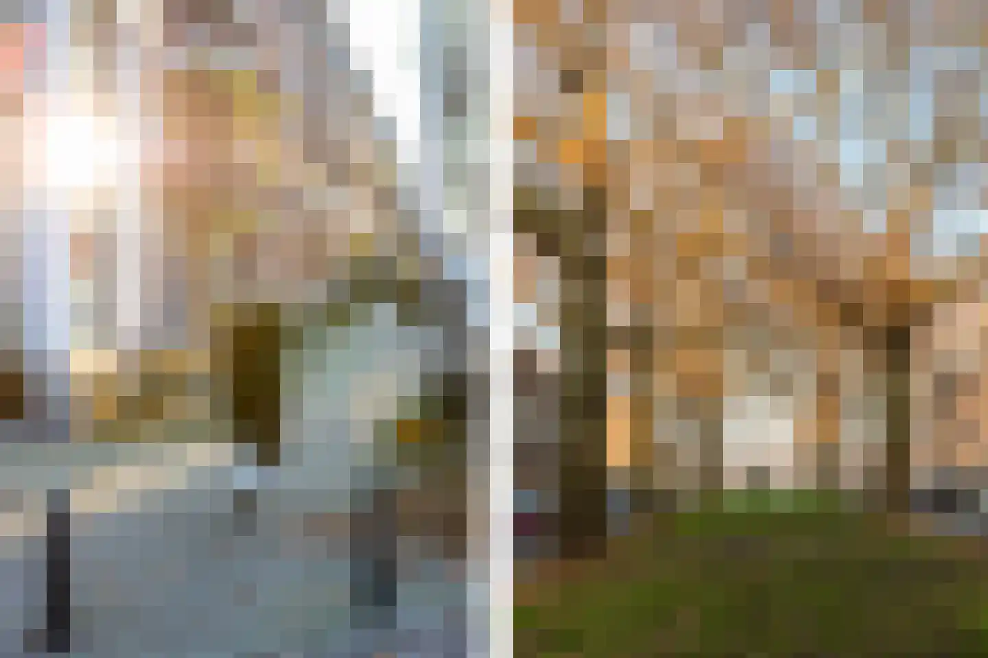 Jericholaan 51 A 01 Rotterdam thumbnail 53