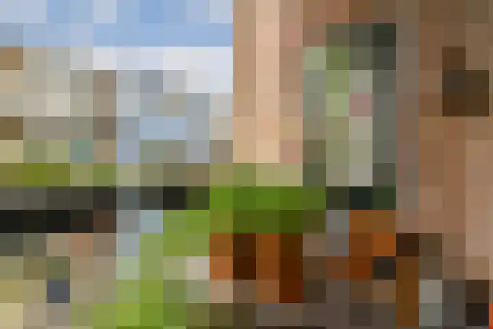 Jericholaan 51 B Rotterdam thumbnail 11
