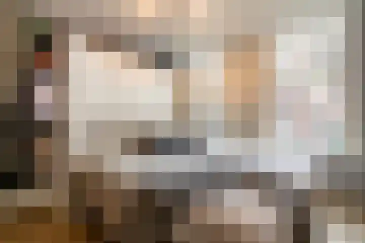 Jericholaan 51 B Rotterdam thumbnail 18