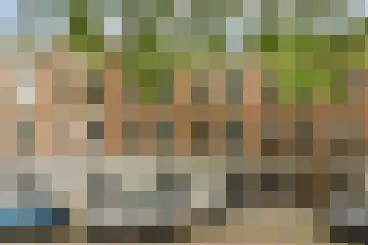 Jericholaan 51 B Rotterdam thumbnail 20