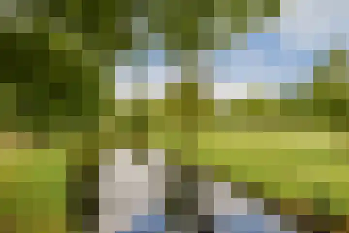 Jericholaan 51 B Rotterdam thumbnail 31