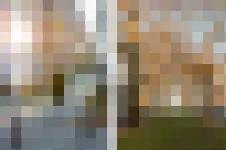 Jericholaan 51 B Rotterdam thumbnail 32