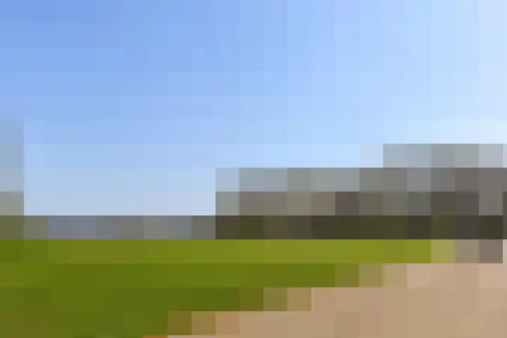 Jericholaan 51 B Rotterdam thumbnail 33