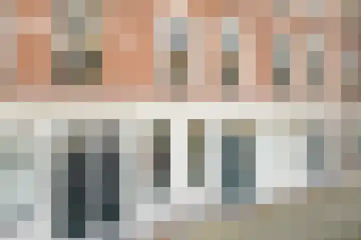 Jericholaan 51 B Rotterdam thumbnail 33