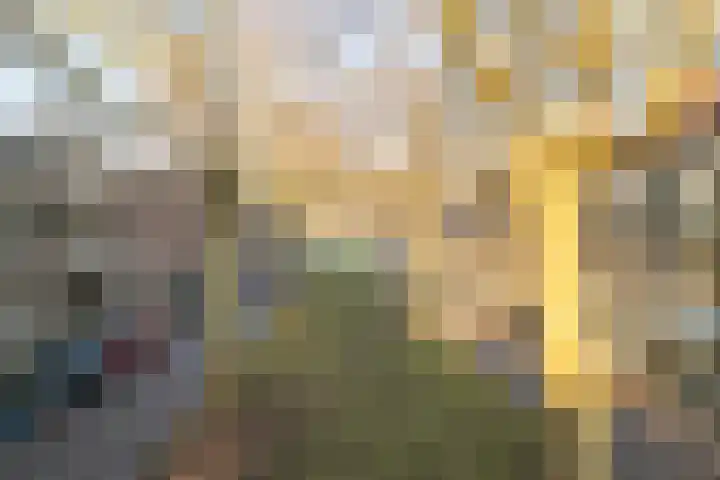 Jericholaan 51 B Rotterdam thumbnail 6