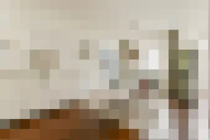Jericholaan 51 B Rotterdam thumbnail 7