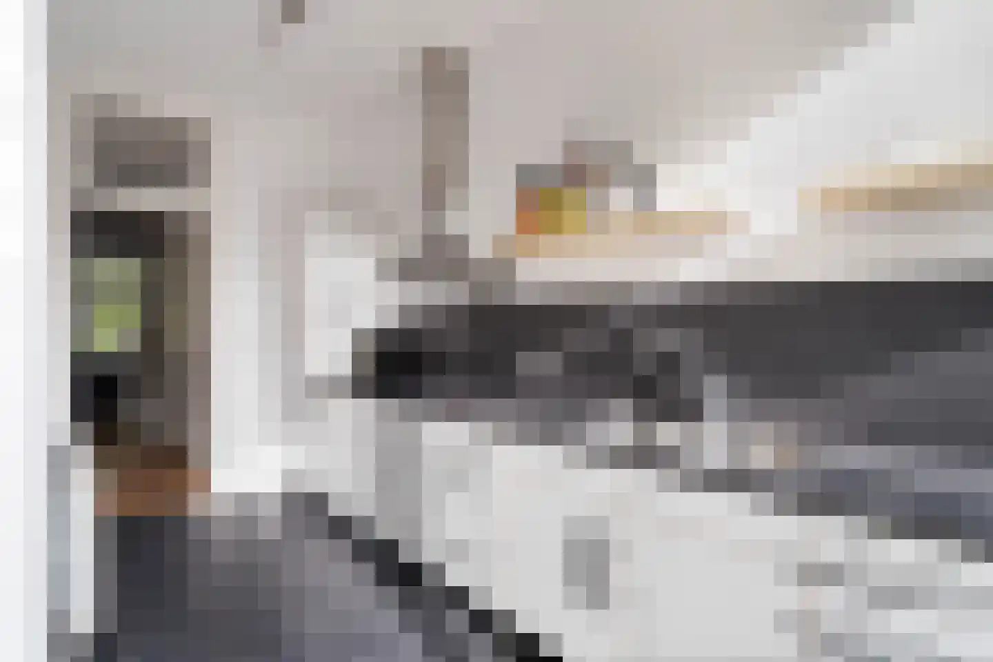 Jericholaan 52 A Rotterdam thumbnail 32