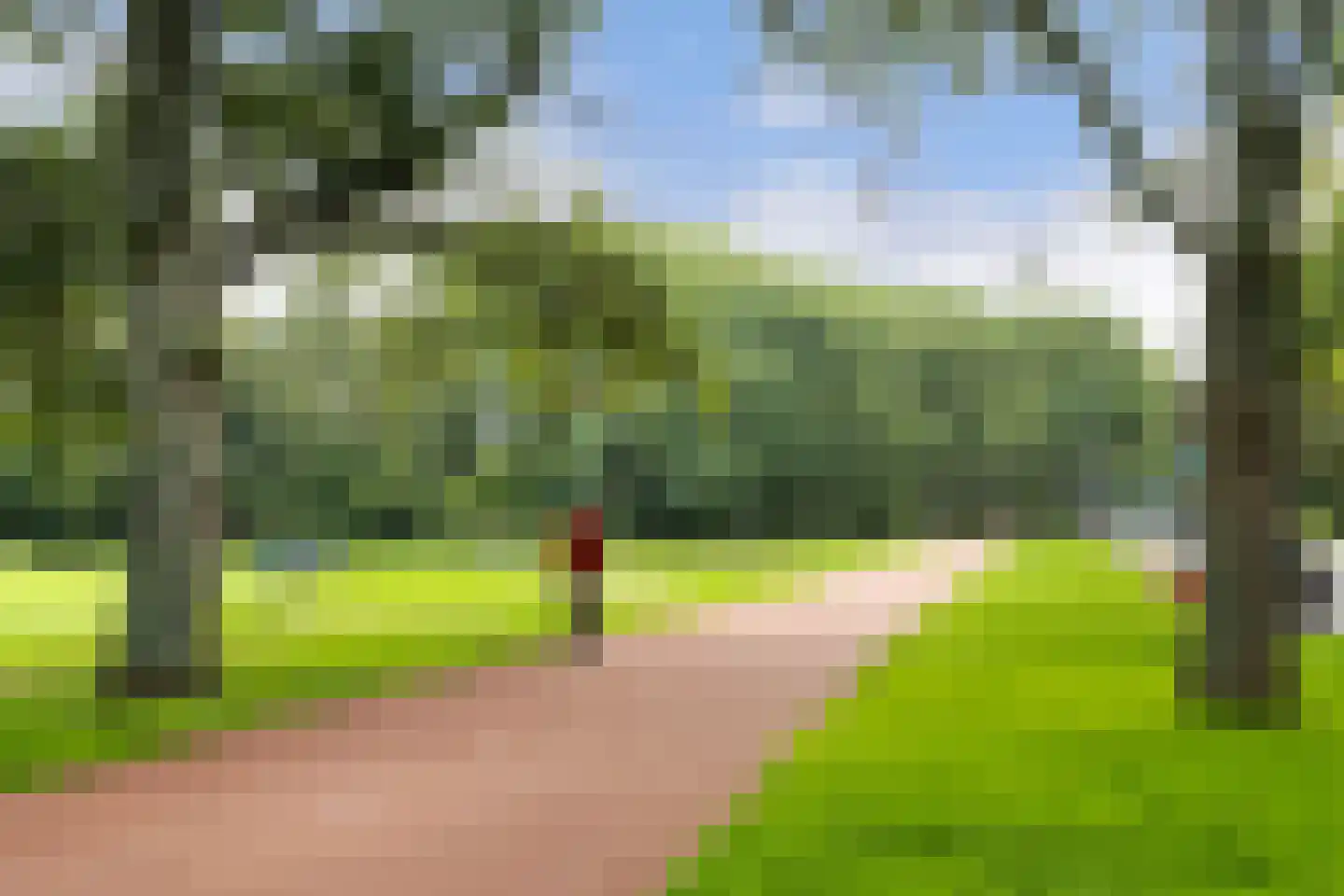 Jericholaan 52 A Rotterdam thumbnail 54