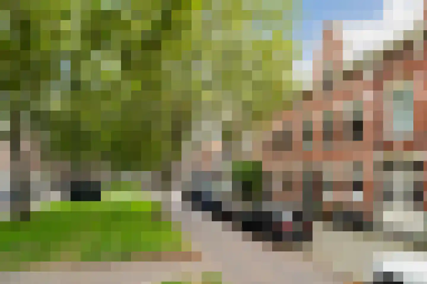 Jericholaan 52 A Rotterdam thumbnail 57