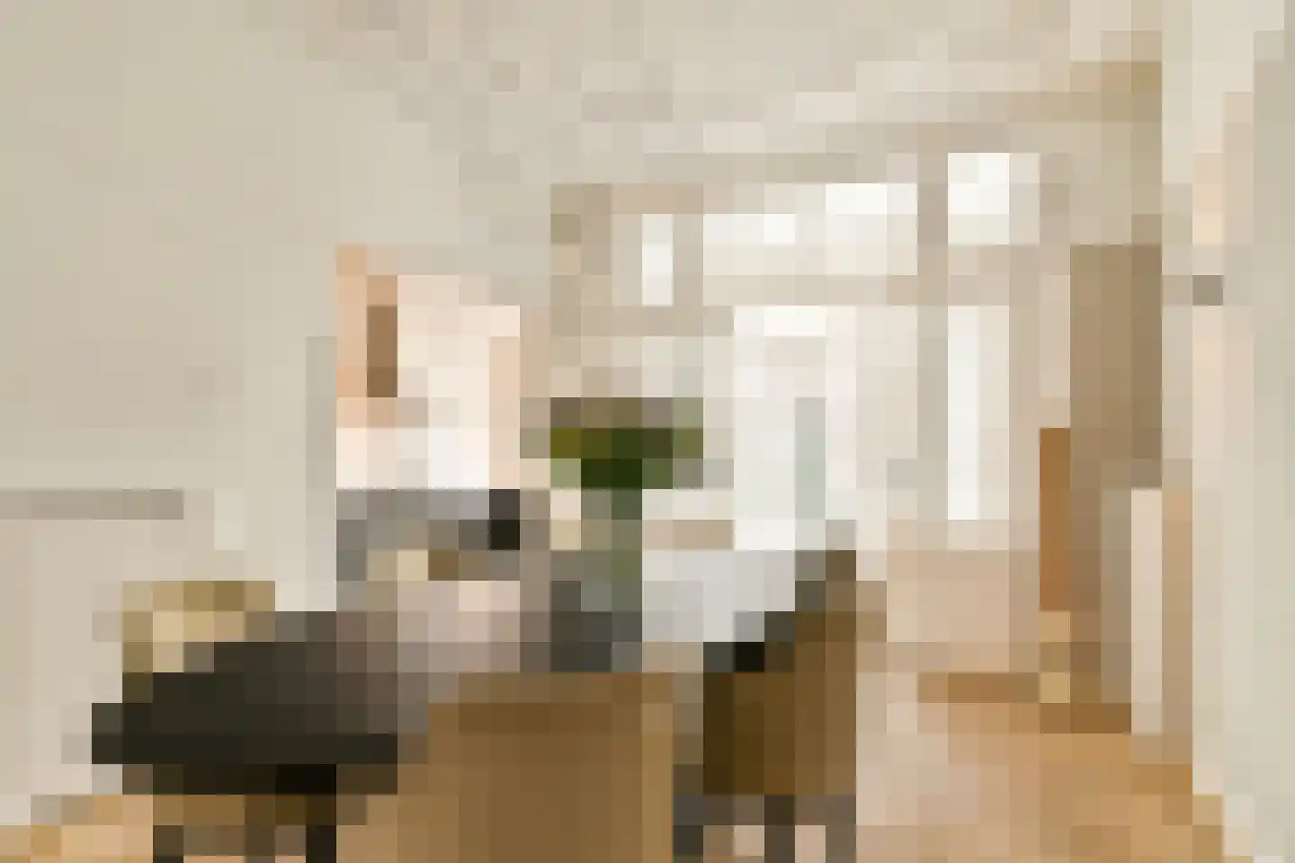 Jericholaan 56 A Rotterdam thumbnail 11