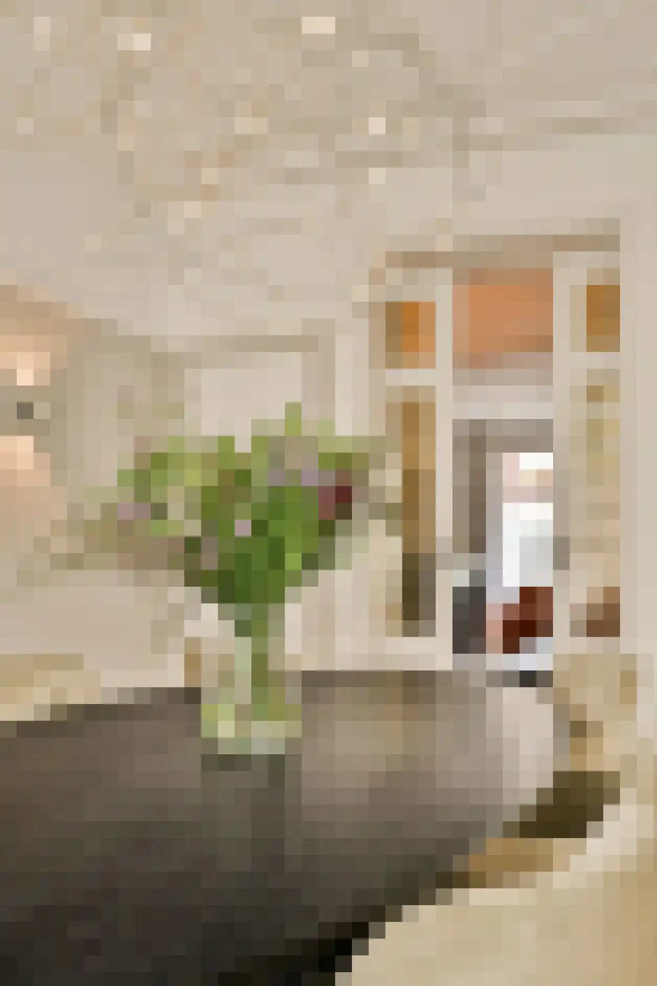 Jericholaan 56 A Rotterdam thumbnail 19