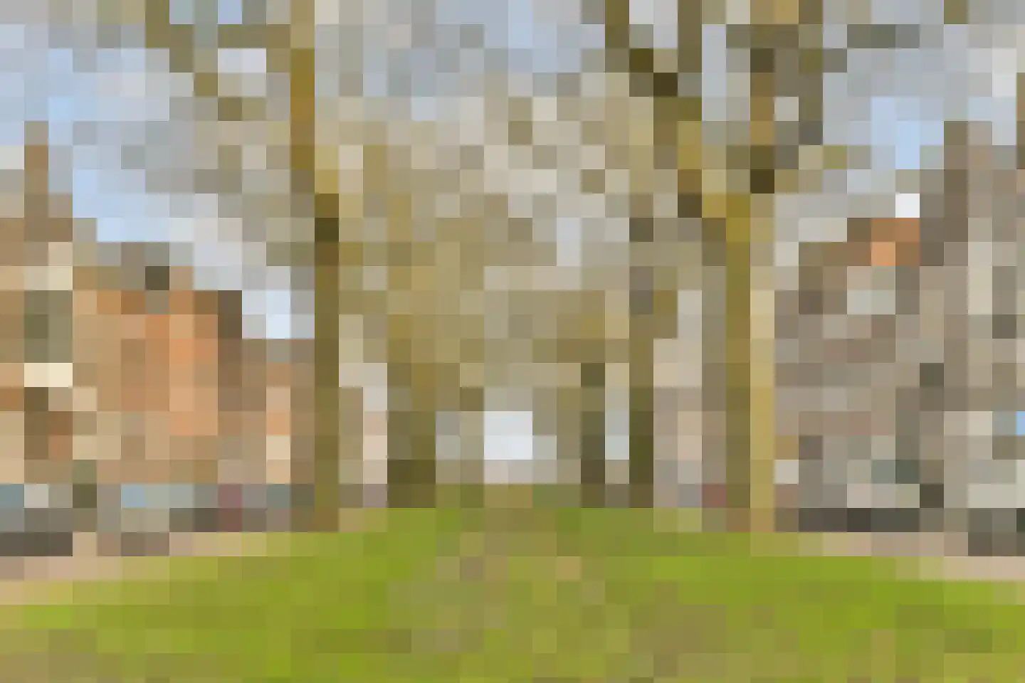 Jericholaan 56 A Rotterdam thumbnail 30