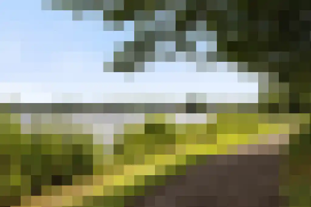 Jericholaan 56 A Rotterdam thumbnail 34