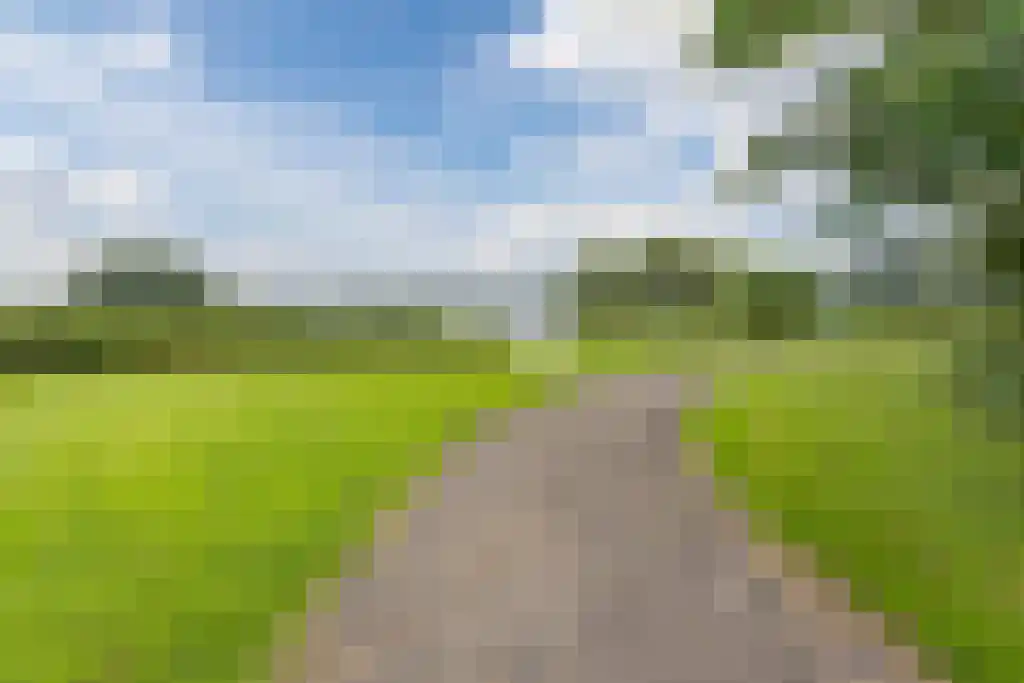 Jericholaan 56 A Rotterdam thumbnail 35