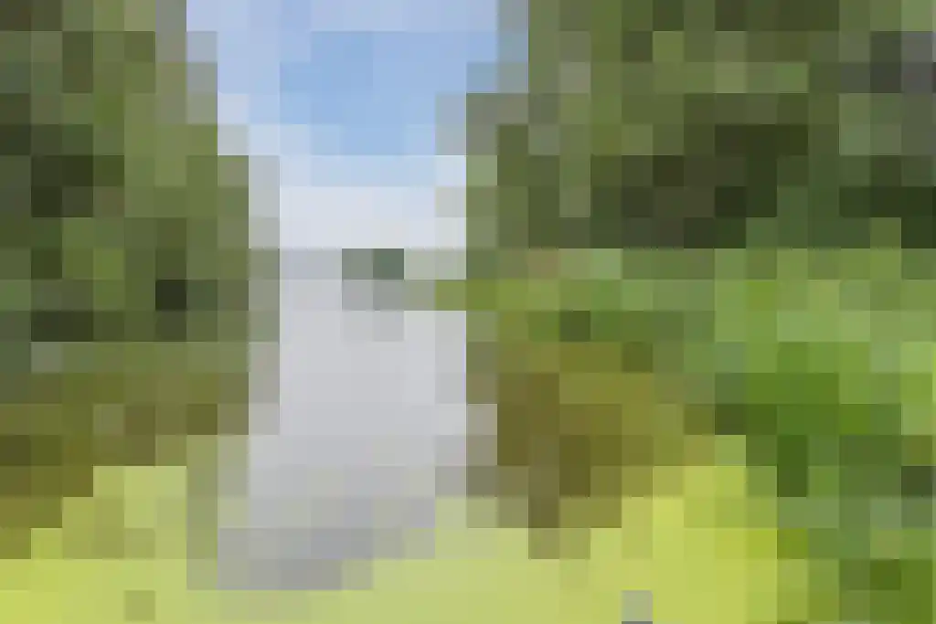 Jericholaan 56 A Rotterdam thumbnail 36