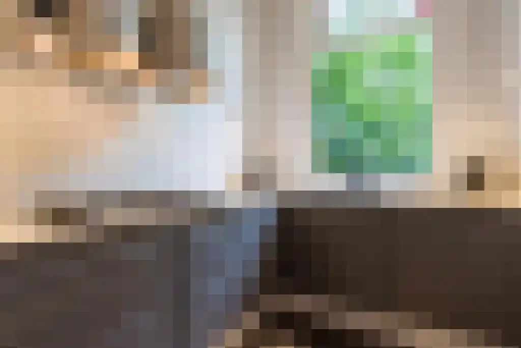 Jericholaan 56 A Rotterdam thumbnail 4
